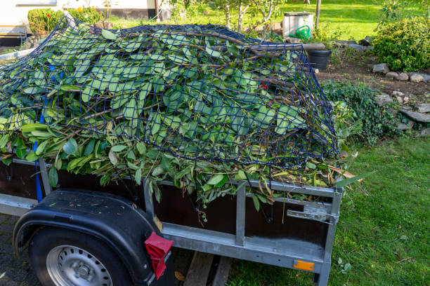 Best Dumpster Rental Services  in Malad City, ID